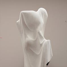 SCULPTURE VEIL NO.5